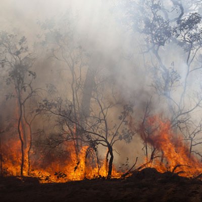 Flames burn through the Australian bush as smoke billows from the fire